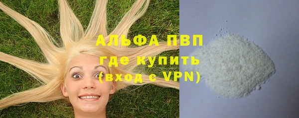 spice Абаза