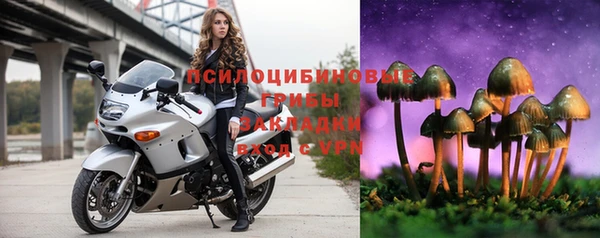 spice Абаза