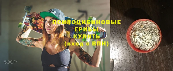 ГАЛЛЮЦИНОГЕННЫЕ ГРИБЫ Абдулино