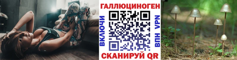 Галлюциногенные грибы Magic Shrooms  Новопавловск 